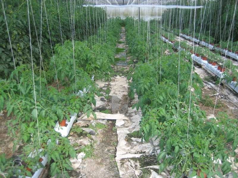 660 Mahons Road, Coominya QLD 4311