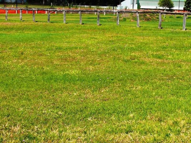 5 Banks Creek Road, Fernvale QLD 4306