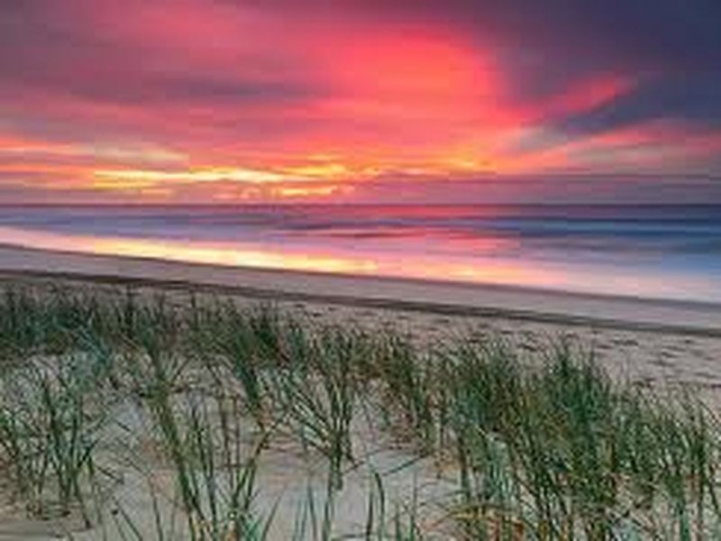 Belle Mare/17/1381 David Low Way, Yaroomba QLD 4573