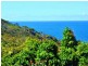 26 McAnally Drive, Sunshine Beach QLD 4567