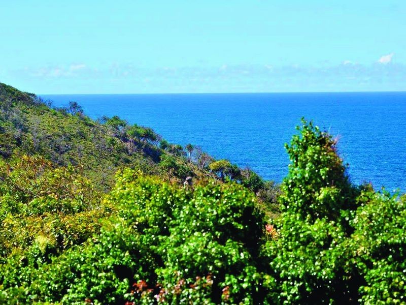 26 McAnally Drive, Sunshine Beach QLD 4567