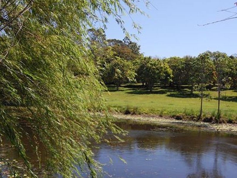 116 Sieb Road, Eumundi QLD 4562