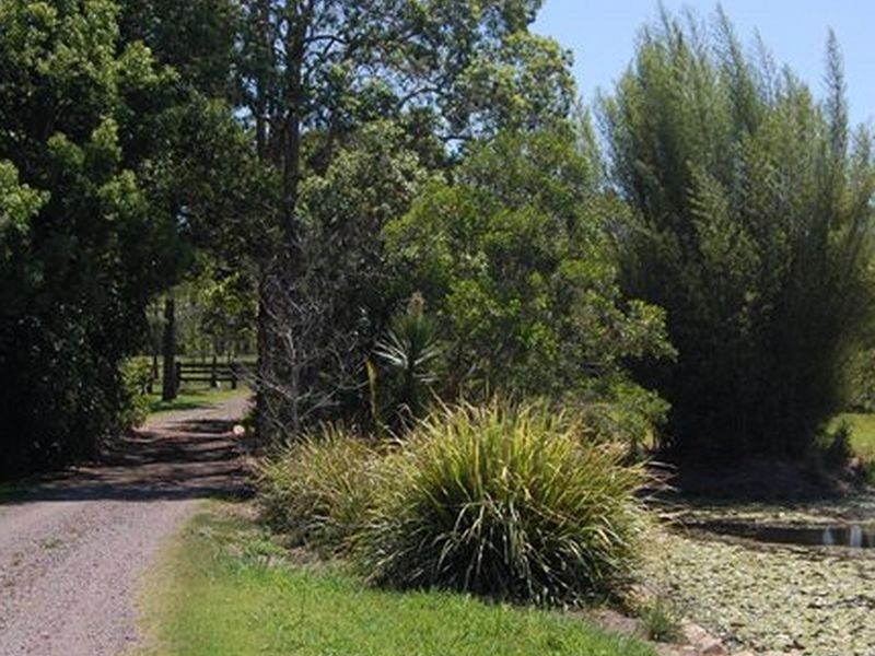 116 Sieb Road, Eumundi QLD 4562