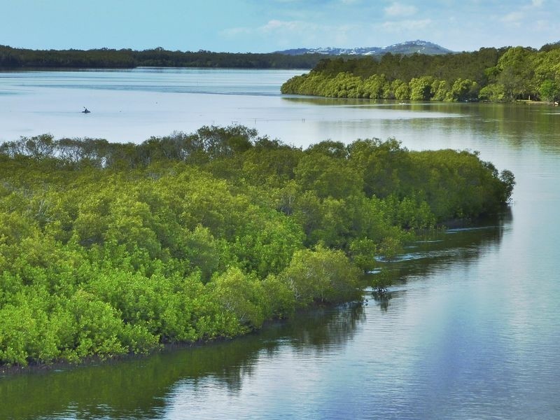135 Lake Weyba Drive, Noosaville QLD 4566