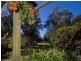 135 Lake Weyba Drive, Noosaville QLD 4566