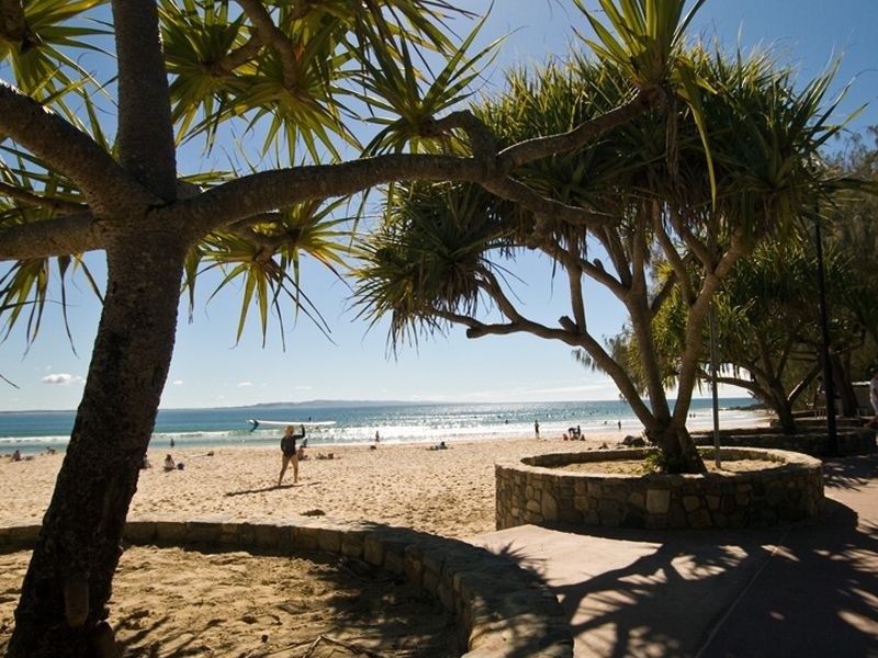 31 Bottlebrush Avenue, Noosa Heads QLD 4567