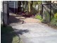 Noosaville QLD 4566
