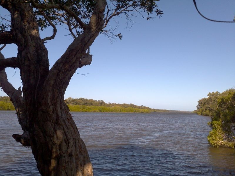 Noosaville QLD 4566
