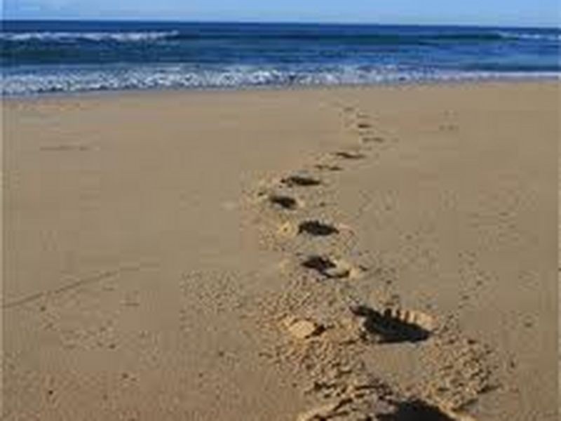 Belle Mare/17/1381 David Low Way, Yaroomba QLD 4573