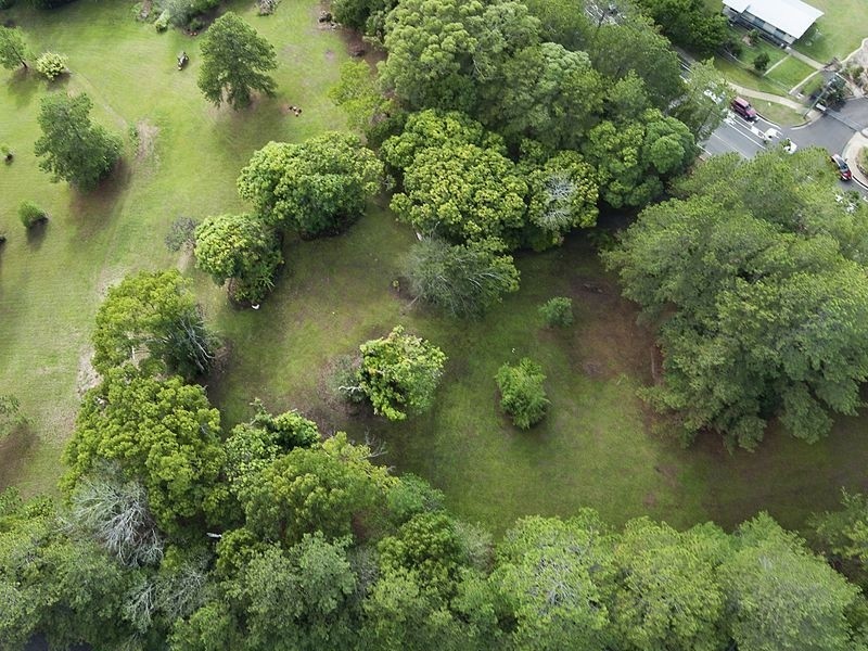 21 Caplick Way, Eumundi QLD 4562