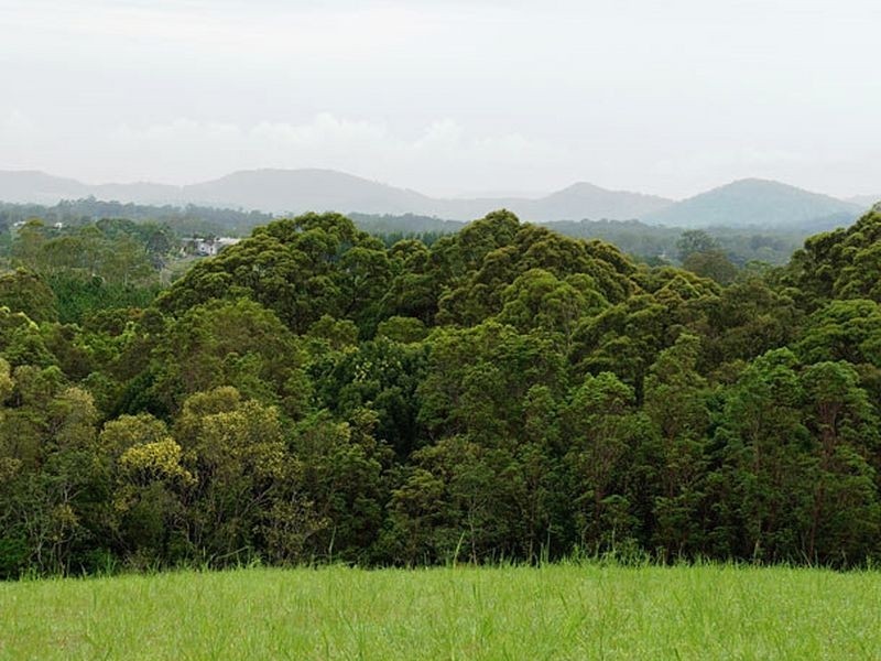 Lot 1-40 Brushbox Place, Eumundi QLD 4562