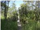 23 Myles Street, Tewantin QLD 4565