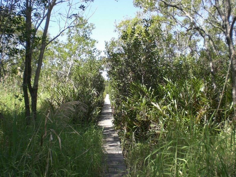 23 Myles Street, Tewantin QLD 4565