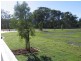 LOT 23 Brushbox Circuit, Peregian Springs QLD 4573