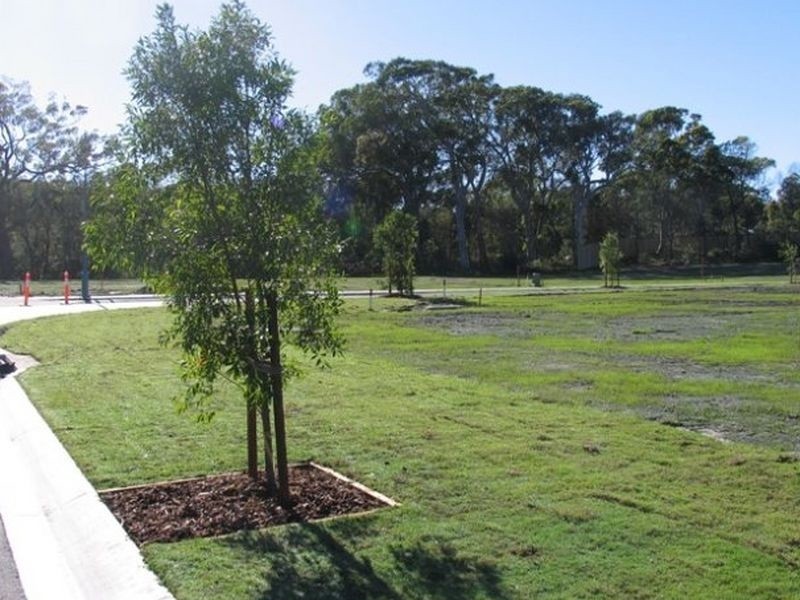LOT 23 Brushbox Circuit, Peregian Springs QLD 4573