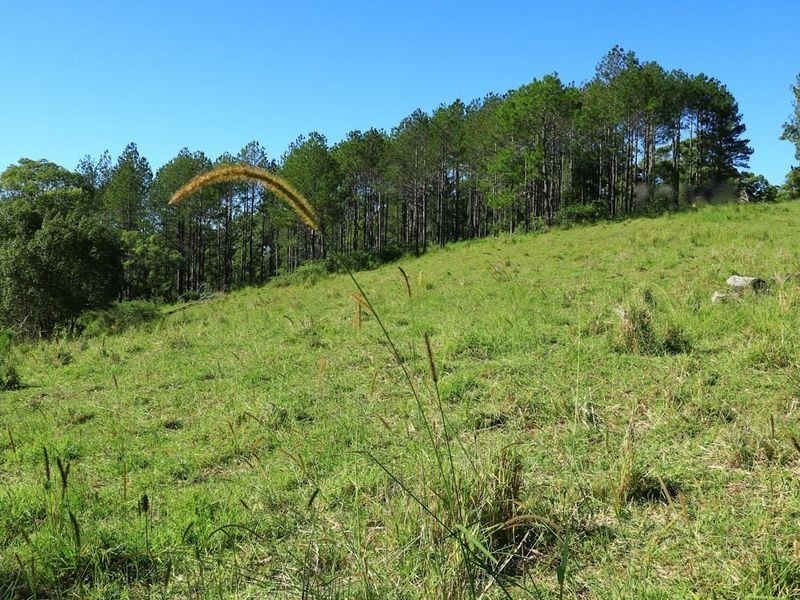 William Road, Eumundi QLD 4562