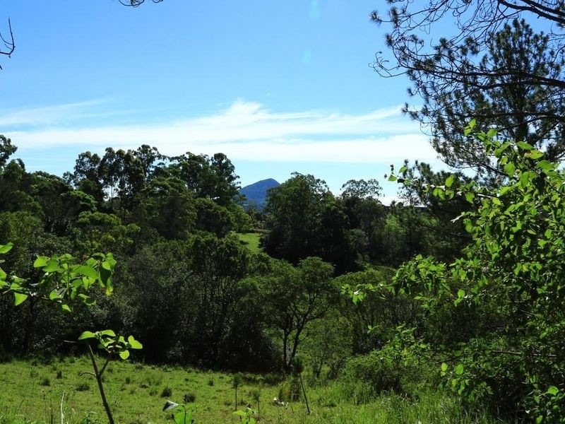 William Road, Eumundi QLD 4562