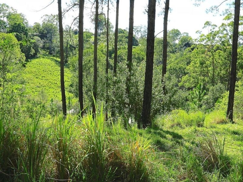 William Road, Eumundi QLD 4562