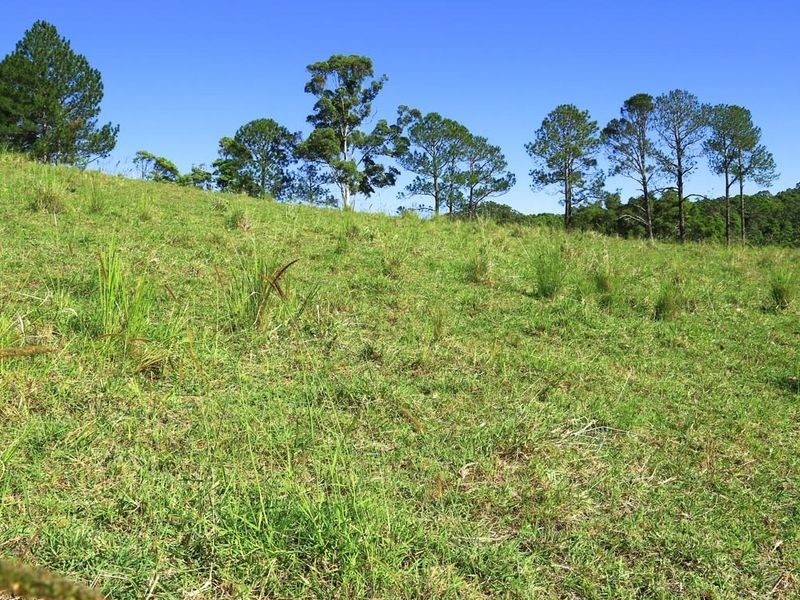 William Road, Eumundi QLD 4562