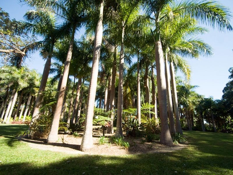 Tinbeerwah QLD 4563