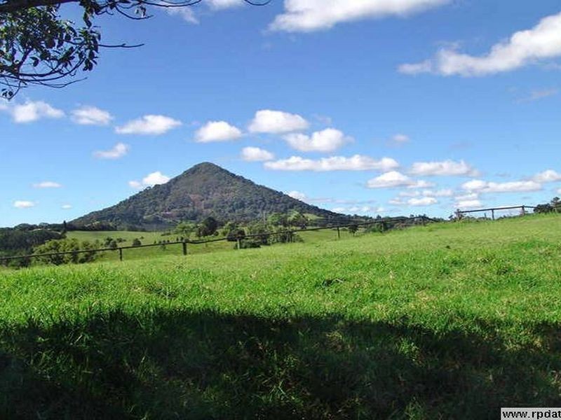 Black Mountain QLD 4563