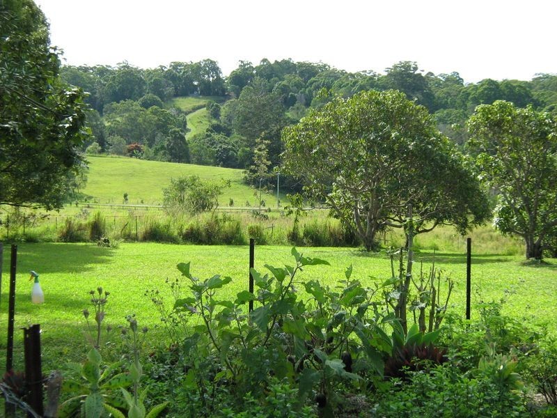 116 Sieb Road, Eumundi QLD 4562