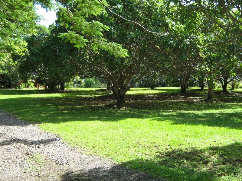 116 Sieb Road, Eumundi QLD 4562