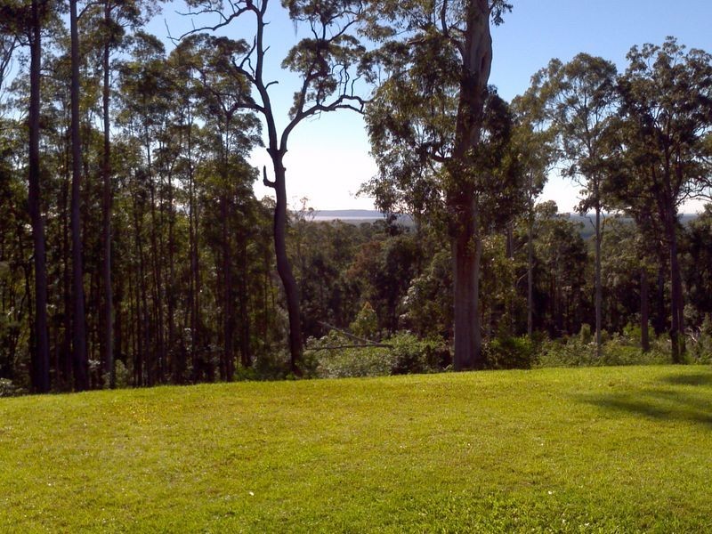 400 Ringtail Creek Road, Ringtail Creek QLD 4565