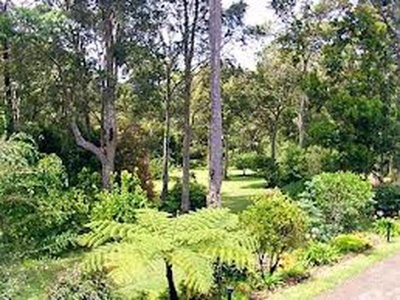 Doonan QLD 4562