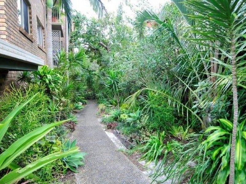 4/19 Wyandra Street, Noosa Heads QLD 4567