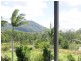 310 Memorial Drive, Eumundi QLD 4562