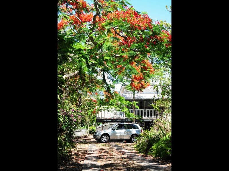 36 Pelican Street, Peregian Beach QLD 4573