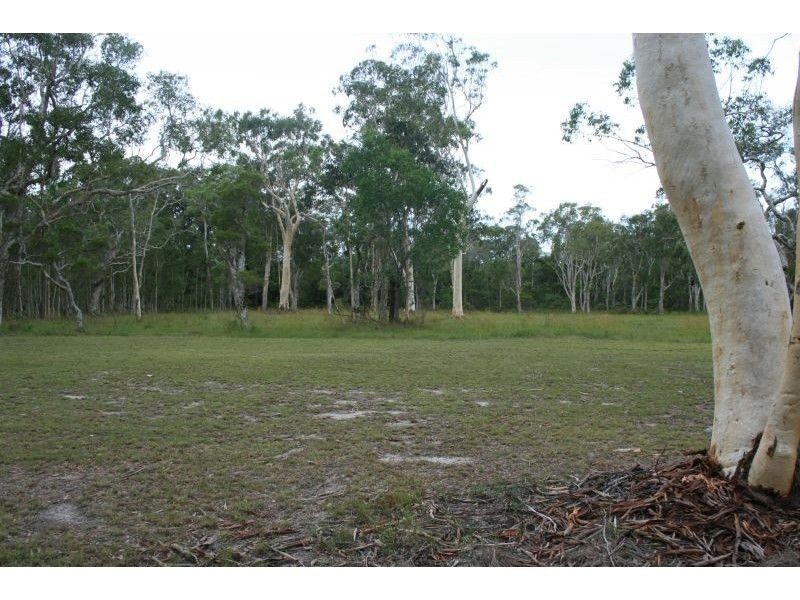 39 Tronson Road, Ringtail Creek QLD 4565