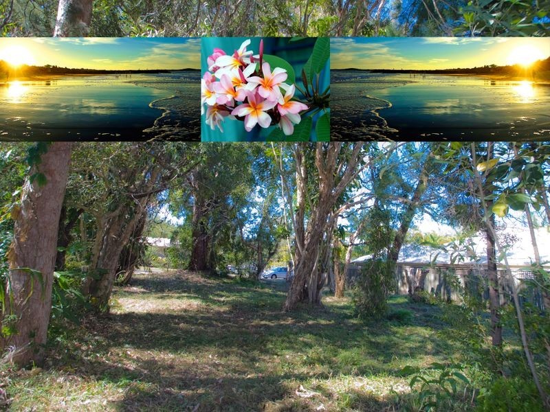 7 Paul Street, Noosa Heads QLD 4567