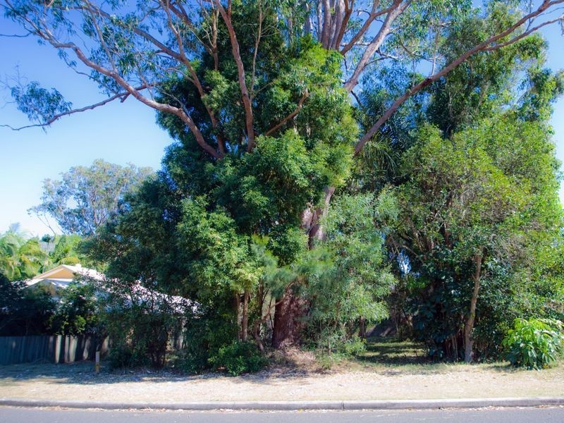 7 Paul Street, Noosa Heads QLD 4567