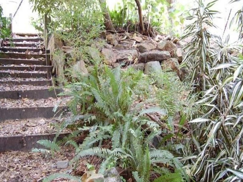 Noosa Heads QLD 4567