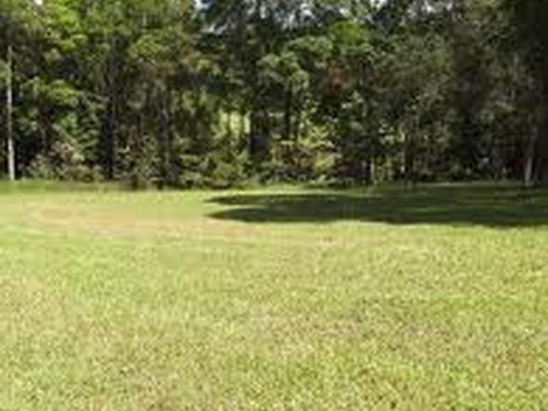 Noosa Heads QLD 4567