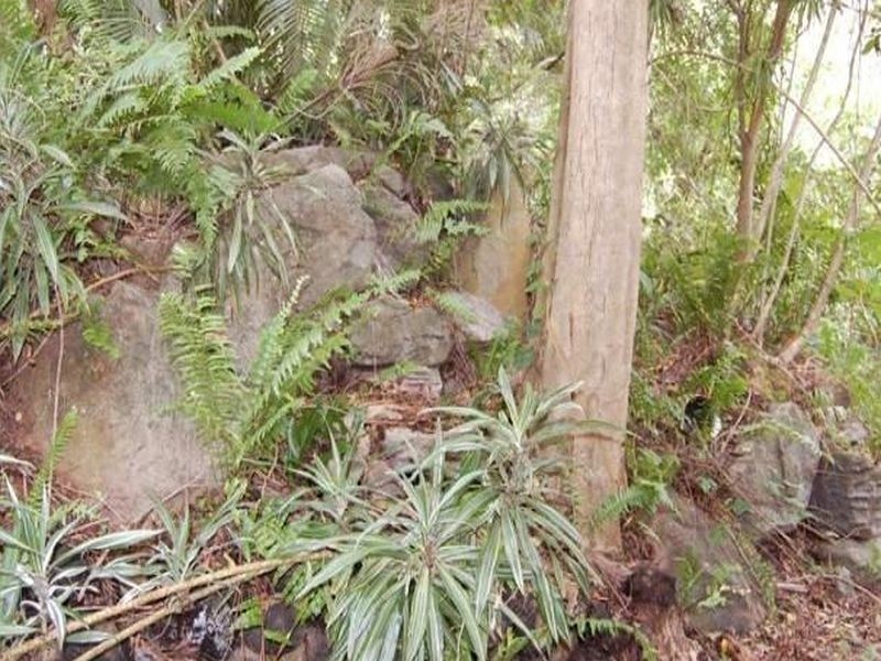 Noosa Heads QLD 4567