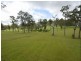 2 Wallaby Lane, Black Mountain QLD 4563