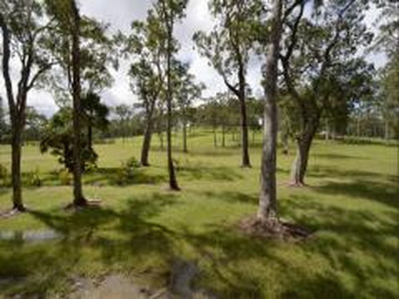 2 Wallaby Lane, Black Mountain QLD 4563