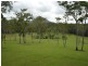 2 Wallaby Lane, Black Mountain QLD 4563