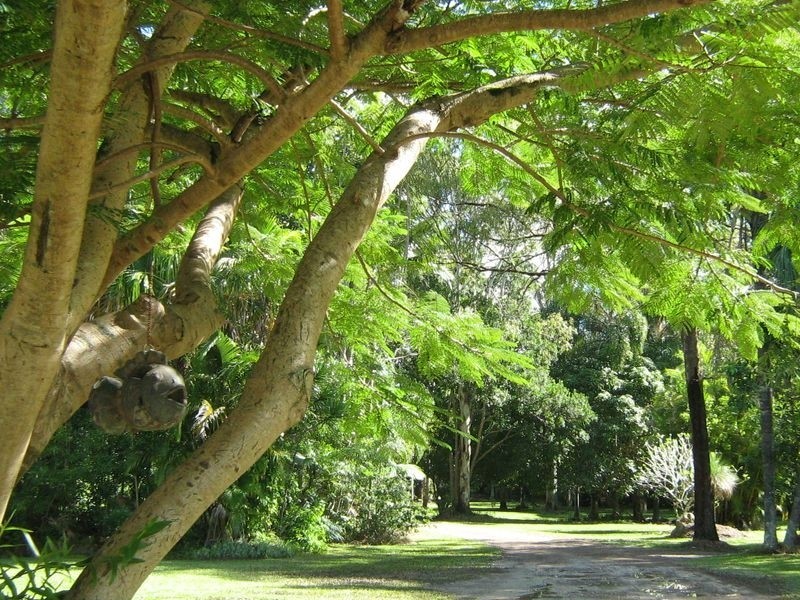 801 Eumundi Road, Doonan QLD 4562