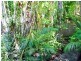 801 Eumundi Road, Doonan QLD 4562