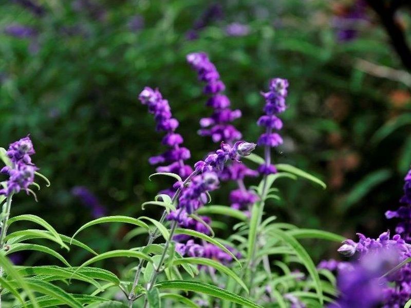 83 Panorama Drive, Doonan QLD 4562