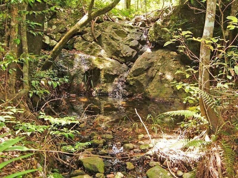 49 Whispering Gum (rafter country), Eumundi QLD 4562