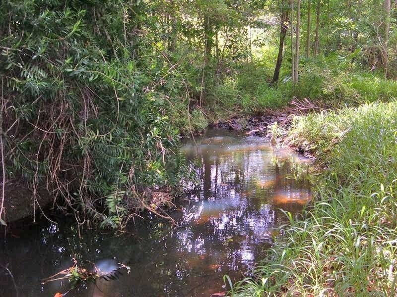 49 Whispering Gum (rafter country), Eumundi QLD 4562