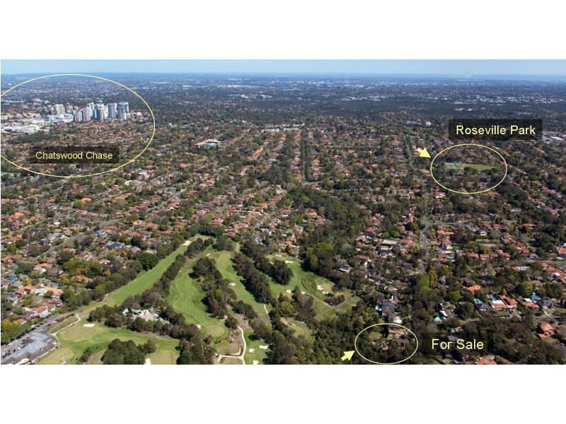 53 Carnarvon Road, Roseville NSW 2069