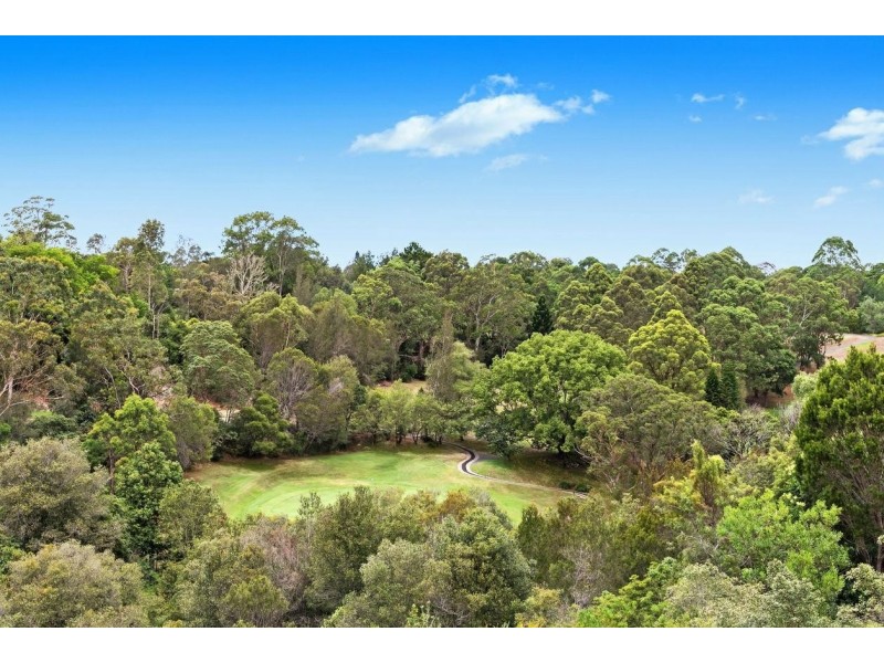 53 Carnarvon Road, Roseville NSW 2069