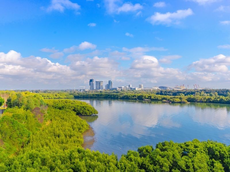 603/2 Shoreline Drive, Rhodes NSW 2138