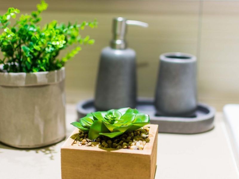 708/7 Rider Boulevard, Rhodes NSW 2138